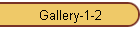 Gallery-1-2