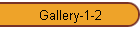 Gallery-1-2